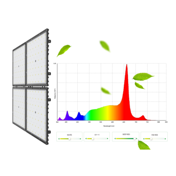 LED 900W Grow Light Greenhouse Coltivazione indoor serra